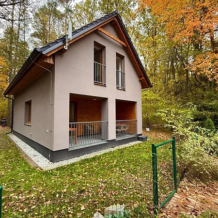 度假居 Forest House Buxusson *